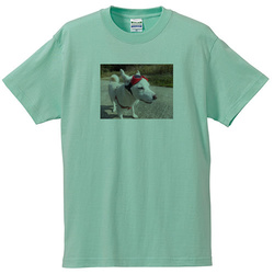 犬no3