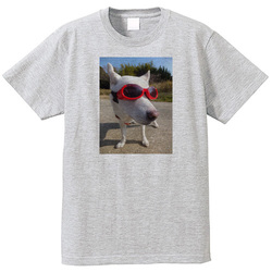 犬no4