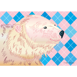デザイン名/ ホッキョクグマとアーガイル