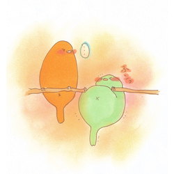 デザイン名/ インコ ペア