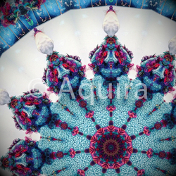 デザイン名/ Aquira’ｓ