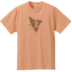 うしたん