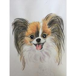 デザイン名/ メイちゃんグッズ