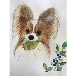 デザイン名/ パオくんグッズ