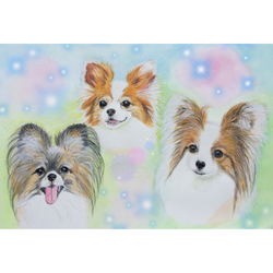 デザイン名/ あんずみみくーグッズ