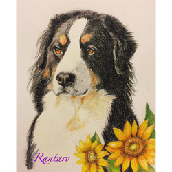 デザイン名/ らんたろうくんグッズ