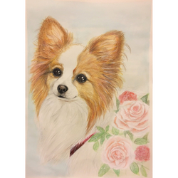 デザイン名/ メイちゃん