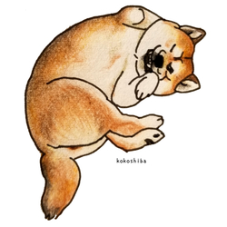 デザイン名/ もふって～ ここ柴