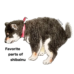 デザイン名/ おしごとちう ここ柴