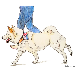 デザイン名/ 春馬ン