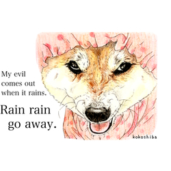 デザイン名/ Rain rain go away