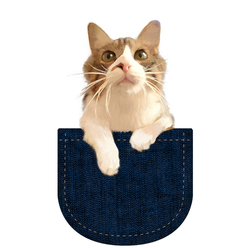 デザイン名/ ポケットからたまちゃん