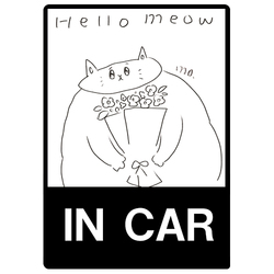 hello meow