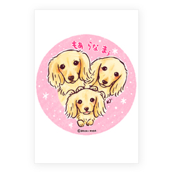 もあ らな まぅ