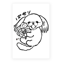 ぱせり(モノクロ)