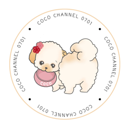 デザイン名/ CoCo（お腹すいたVer.）