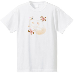 たらコラボ企画1