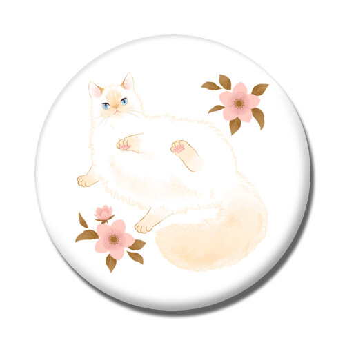 たらコラボ企画1