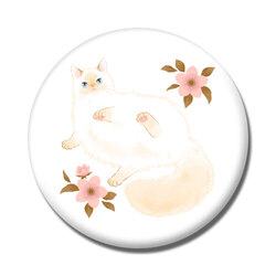 たらコラボ企画1