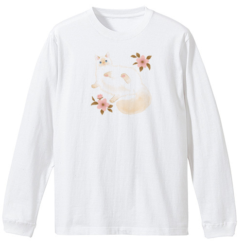 たらコラボ企画1