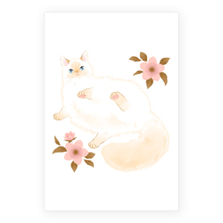 たらコラボ企画1