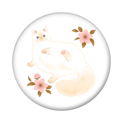 たらコラボ企画1