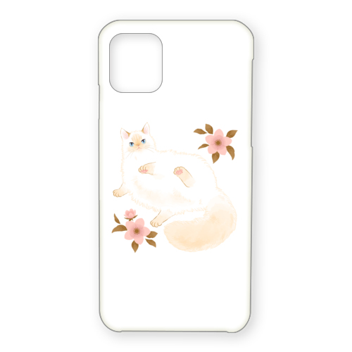 たらコラボ企画1