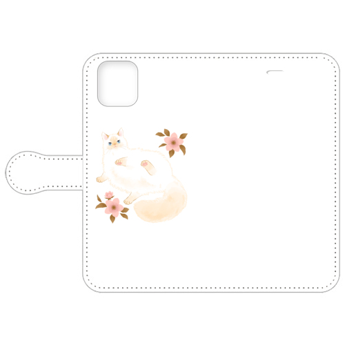 たらコラボ企画1