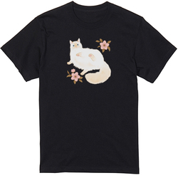 たらコラボ企画1