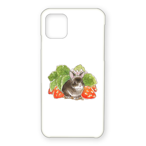 VeryBerry なんばパークスオーダー5