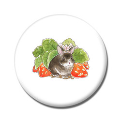 VeryBerry なんばパークスオーダー5