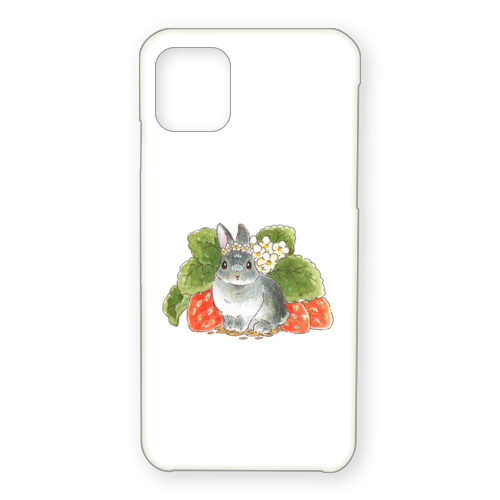 VeryBerry なんばパークスオーダー1