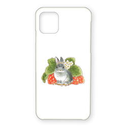 VeryBerry なんばパークスオーダー1