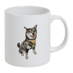 ここ柴コラボ企画7