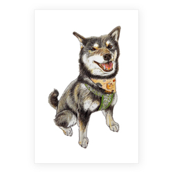 ここ柴コラボ企画7