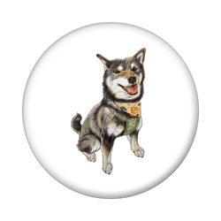 ここ柴コラボ企画7