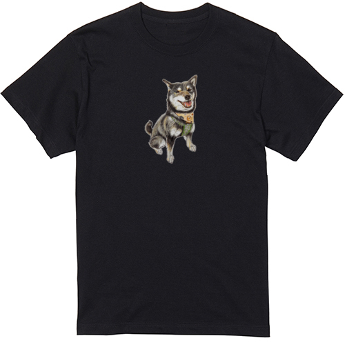 ここ柴コラボ企画7