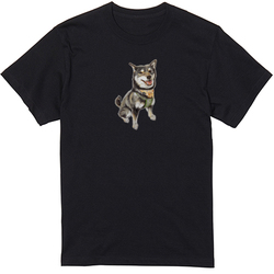 ここ柴コラボ企画7