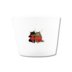 はくたちひろ2024-1