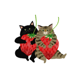 はくたちひろ2024-1