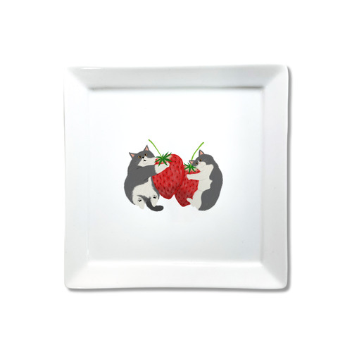 はくたちひろ2024-2