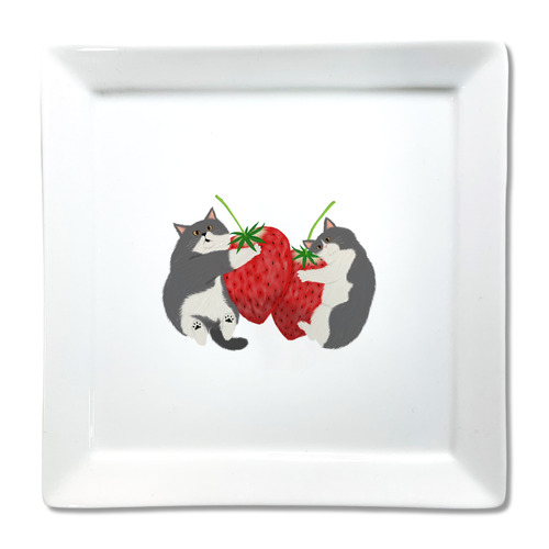 はくたちひろ2024-2