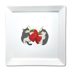 はくたちひろ2024-2