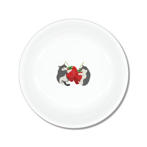 はくたちひろ2024-2