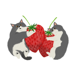 はくたちひろ2024-2