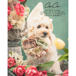 デザイン名/ CoCo（花Ver.）