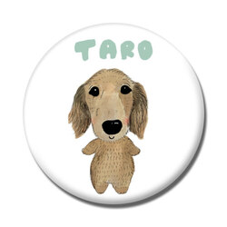 TARO