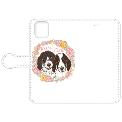 ドラえもん&Q太郎