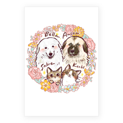 Bella&Austin&Sabre&Kerbl