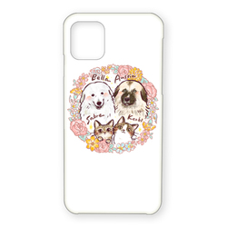 Bella&Austin&Sabre&Kerbl